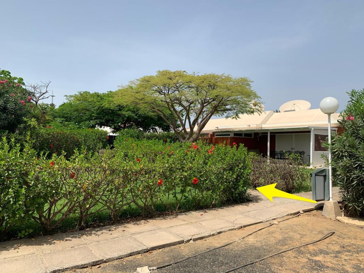 Flamboyant Tree Garden Holiday Home Maspalomas  Exterior photo